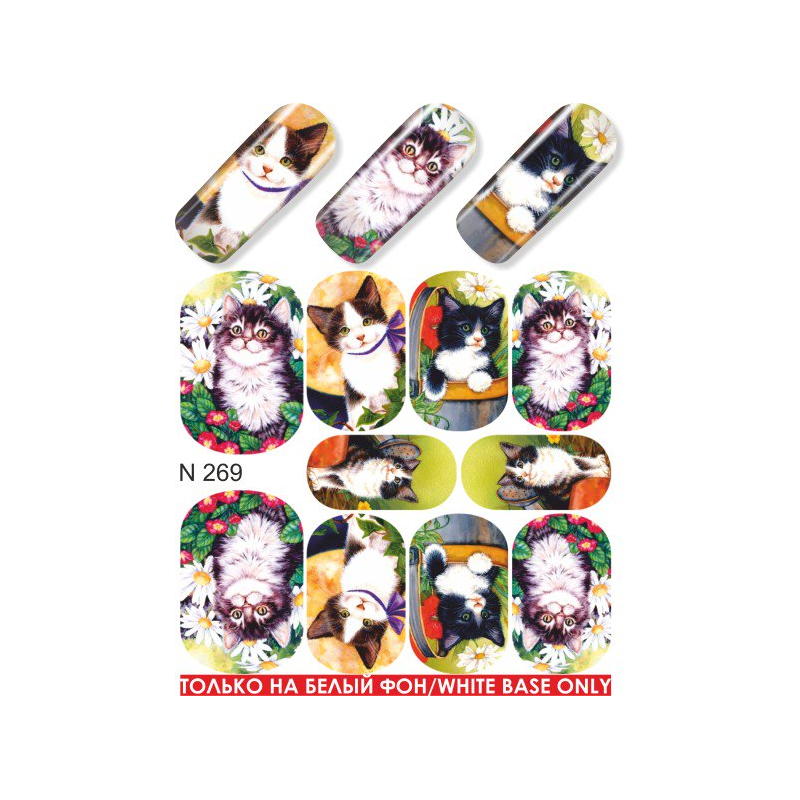 Nail foils A 13 P