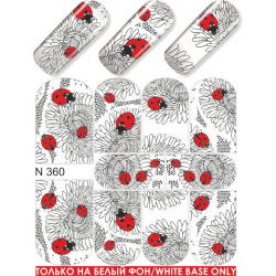 Nail foils A 13 P