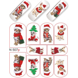 Nail foils A 13 P
