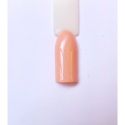 Rosa Velato cod. 18