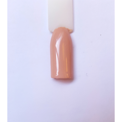 Rosa cod. 19