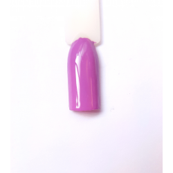 Violetto cod. 26