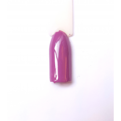 Violetto cod. 26