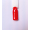 Rosso Vampiro cod. 40