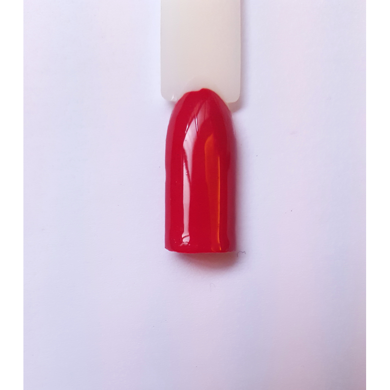 Rossetto cod. 42