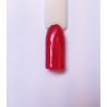 Rossetto cod. 42