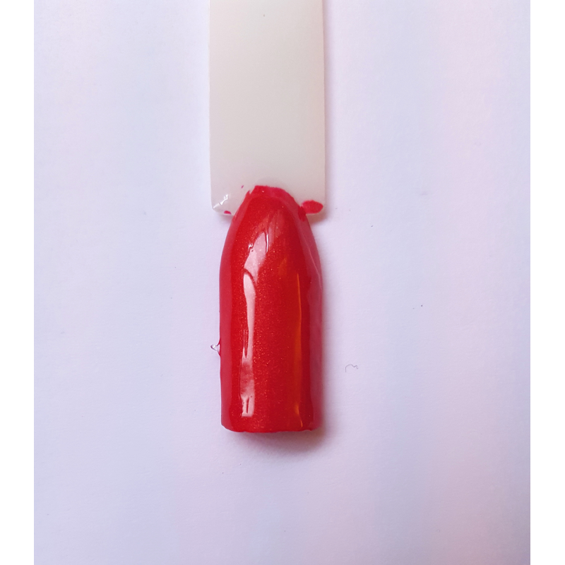 Rossetto cod. 42