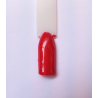 Rossetto cod. 42