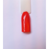 Corallo cod. 46