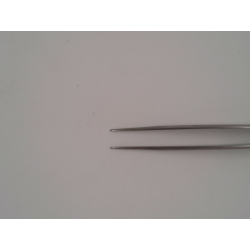Pinza 