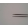 Pinza 