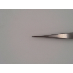 Pinza 