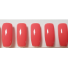 Smalto Semipermanente Pro Gel 315