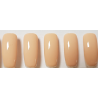 Smalto Semipermanente Pro Gel 38