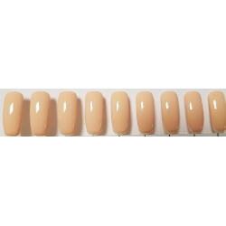 Smalto Semipermanente Pro Gel 38
