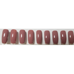 Smalto Semipermanente Pro Gel 42