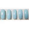 Smalto Semipermanente Pro Gel 17
