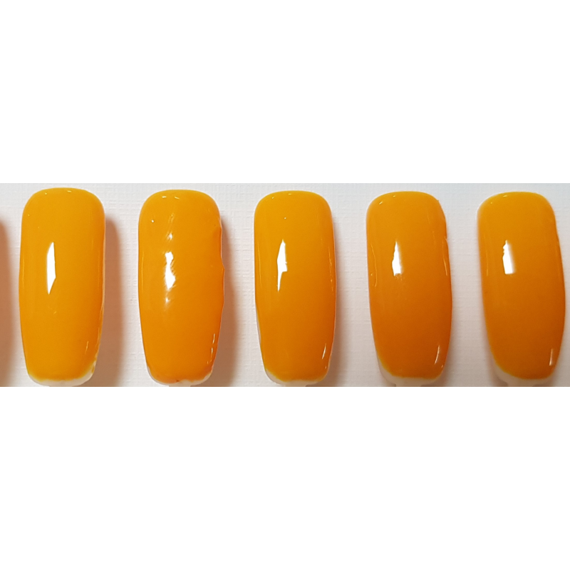 Smalto Semipermanente Pro Gel 005