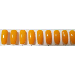 Smalto Semipermanente Pro Gel 005