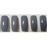 Smalto Semipermanente Pro Gel 005