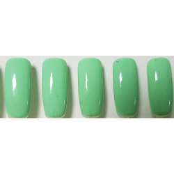 Smalto Semipermanente Pro Gel 076