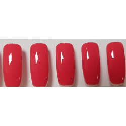 Smalto Semipermanente Pro Gel 220