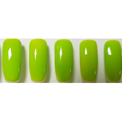 Smalto Semipermanente Pro Gel 090