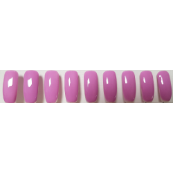 Smalto Semipermanente Pro Gel 017