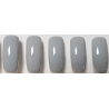 Smalto Semipermanente Pro Gel 021