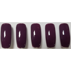 Smalto Semipermanente Pro Gel 017