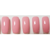 Smalto Semipermanente Pro Gel 290