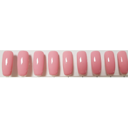 Smalto Semipermanente Pro Gel 290
