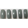 Smalto Semipermanente Pro Gel 276