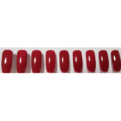 Smalto Semipermanente Pro Gel 042