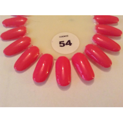 Rosa Passion 54