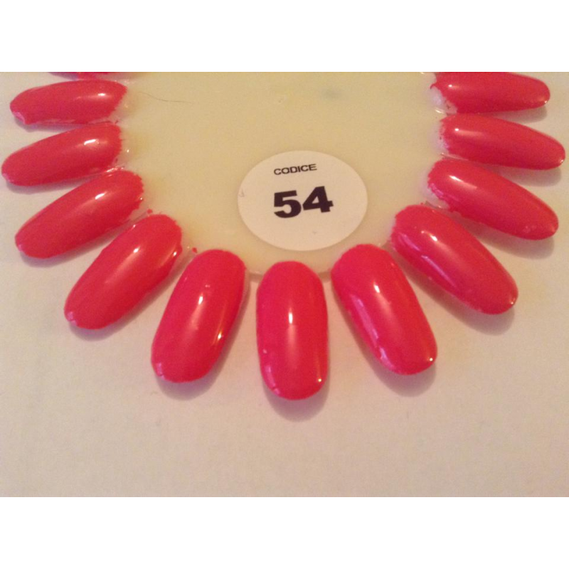 Rosa Passion 54