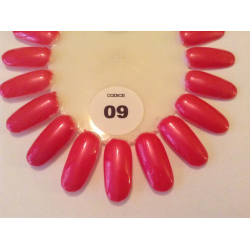 Fragola 09